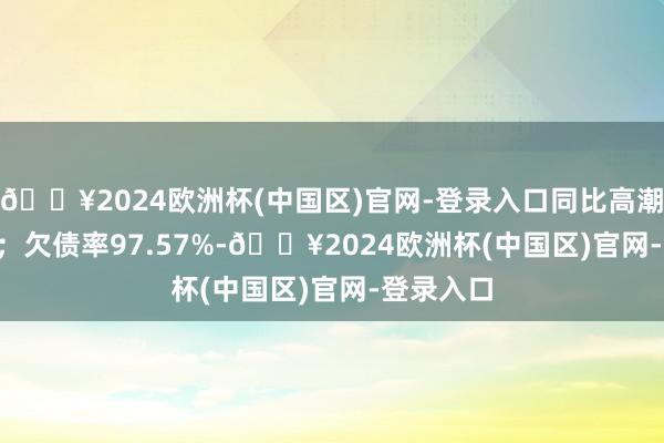 🔥2024欧洲杯(中国区)官网-登录入口同比高潮53.22%;欠债率97.57%-🔥2024欧洲杯(中国区)官网-登录入口