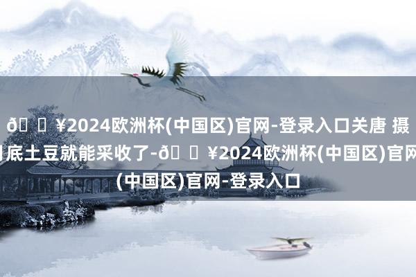 🔥2024欧洲杯(中国区)官网-登录入口关唐 摄 “来岁2月底土豆就能采收了-🔥2024欧洲杯(中国区)官网-登录入口