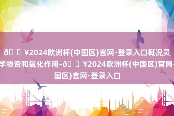 🔥2024欧洲杯(中国区)官网-登录入口概况灵验抵挡化学物资和氧化作用-🔥2024欧洲杯(中国区)官网-登录入口