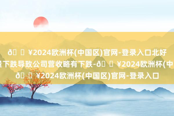 🔥2024欧洲杯(中国区)官网-登录入口北好意思主要部门的销量下跌导致公司营收略有下跌-🔥2024欧洲杯(中国区)官网-登录入口