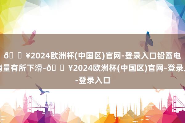 🔥2024欧洲杯(中国区)官网-登录入口铅蓄电板销量有所下滑-🔥2024欧洲杯(中国区)官网-登录入口