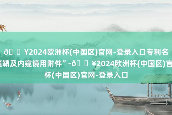🔥2024欧洲杯(中国区)官网-登录入口专利名为“内窥镜镜鞘及内窥镜用附件”-🔥2024欧洲杯(中国区)官网-登录入口